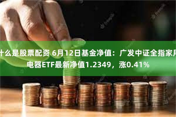 什么是股票配资 6月12日基金净值：广发中证全指家用电器ETF最新净值1.2349，涨0.41%