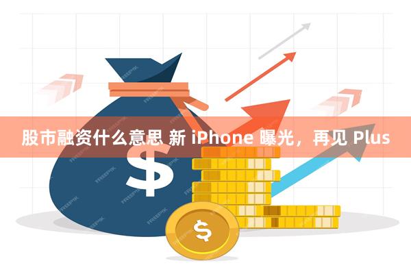 股市融资什么意思 新 iPhone 曝光，再见 Plus