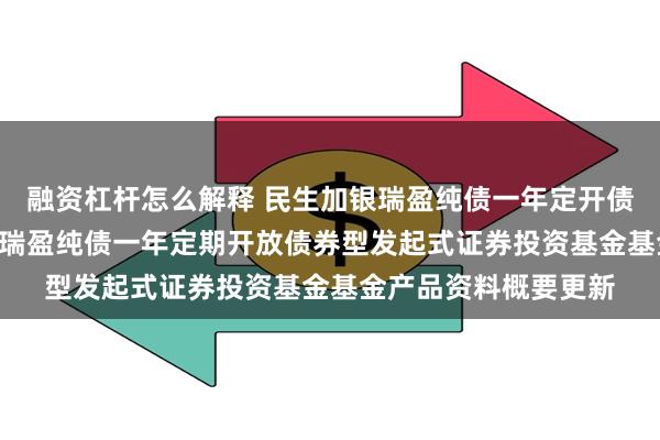 融资杠杆怎么解释 民生加银瑞盈纯债一年定开债券发起式: 民生加银瑞盈纯债一年定期开放债券型发起式证券投资基金基金产品资料概要更新