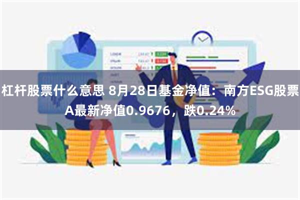 杠杆股票什么意思 8月28日基金净值：南方ESG股票A最新净值0.9676，跌0.24%