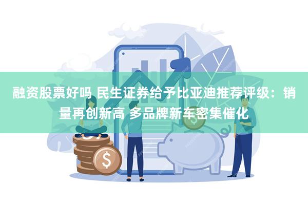 融资股票好吗 民生证券给予比亚迪推荐评级：销量再创新高 多品牌新车密集催化