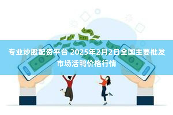 专业炒股配资平台 2025年2月2日全国主要批发市场活鸭价格行情