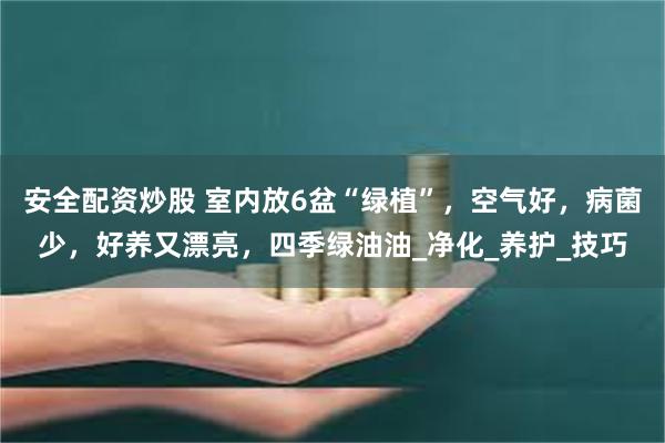 安全配资炒股 室内放6盆“绿植”，空气好，病菌少，好养又漂亮，四季绿油油_净化_养护_技巧